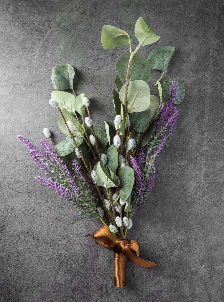 beautiful-gift-plants-cement-background beautiful-gift-plants-cement-background